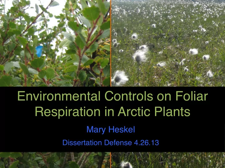 environmental controls on foliar respiration in arctic