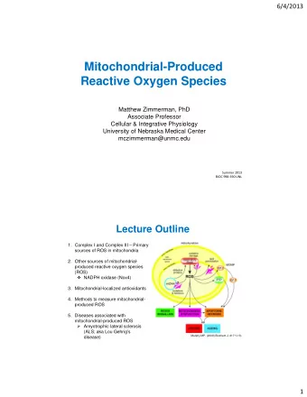 Mitochondrial-Produced  Reactive Oxygen Species  Matthew Zimmerman, PhD  Associate Professor