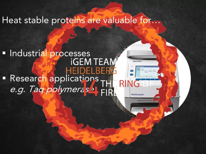 e g taq polymerase
