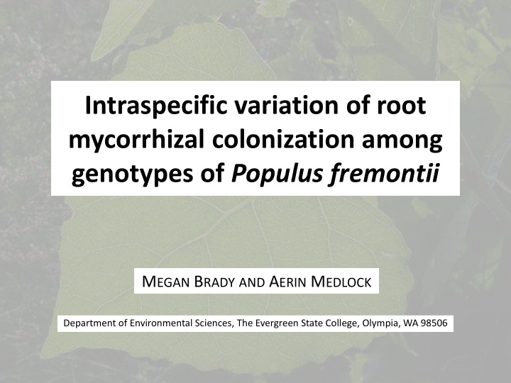 mycorrhizal colonization among