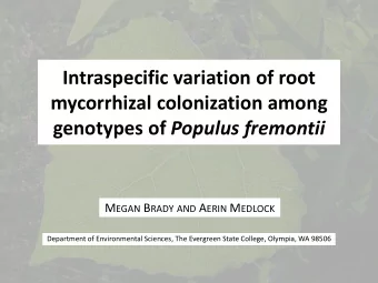mycorrhizal colonization among genotypes of Populus fremontii M EGAN B RADY AND A ERIN M EDLOCK