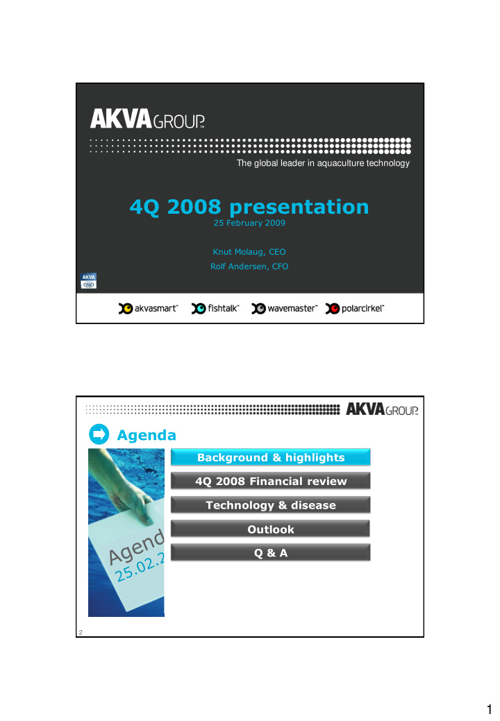 4q 2008 presentation