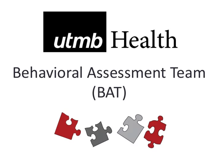 bat what is bat who serves on bat