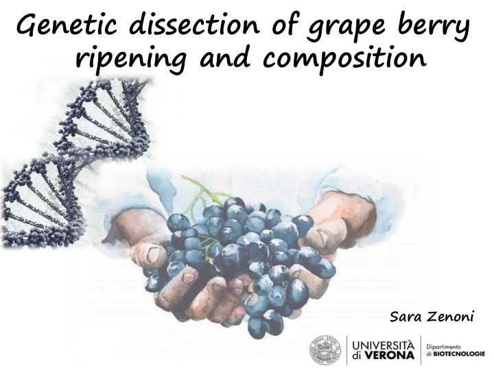 genetic dissection of grape berry ripening and composition