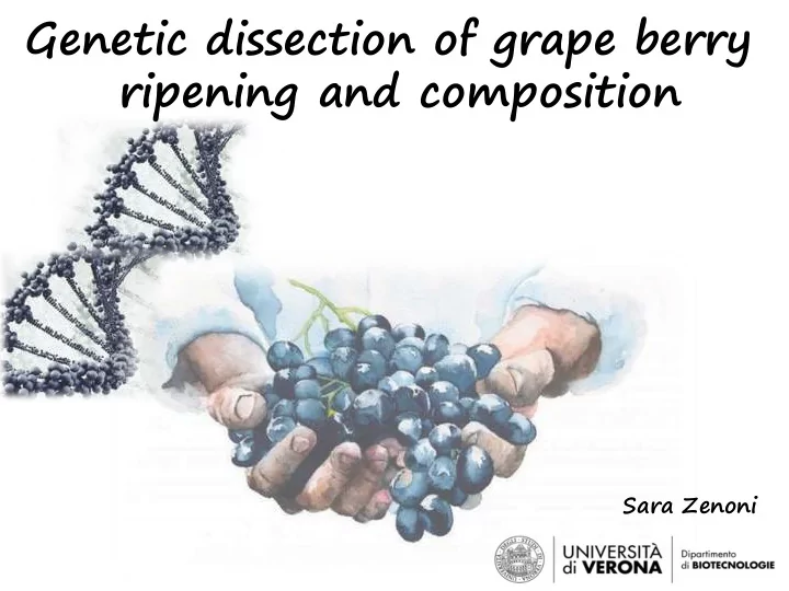 genetic dissection of grape berry ripening and composition