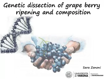 Genetic dissection of grape berry  ripening and composition  Sara Zenoni  Fruit ripening Fruit is