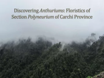 Discovering Anthuriums : Floristics of Section Polyneurium of Carchi Province  Project outline