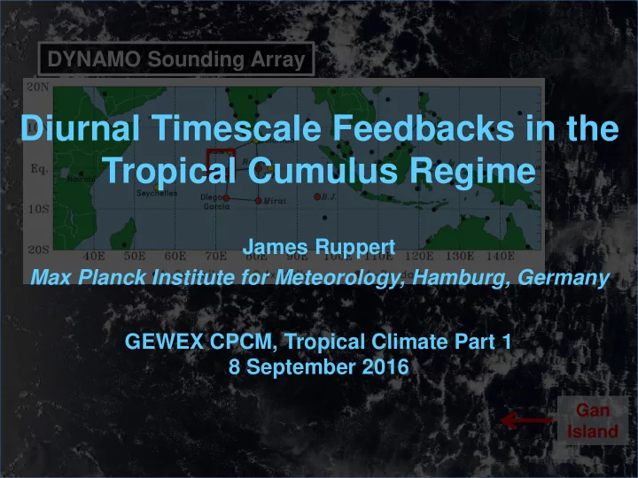 diurnal timescale feedbacks in the tropical cumulus regime