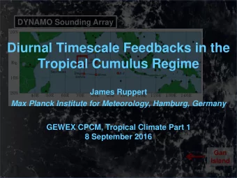 Diurnal Timescale Feedbacks in the  Tropical Cumulus Regime  James Ruppert  Max Planck Institute