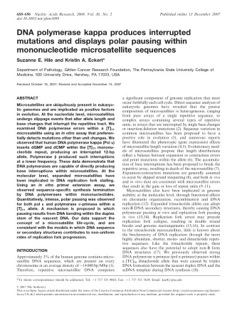 DNA polymerase kappa produces interrupted  mutations and displays polar pausing within
