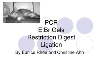 PCR  EtBr Gels  Restriction Digest  Ligation  By Eunice Rhee and Christine Ahn  I.  Polymerase