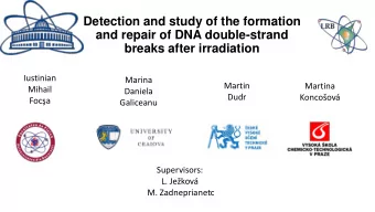 breaks after irradiation  Iustinian  Marina  Martin  Martina  Mihail  Daniela  Dudr Koncoov