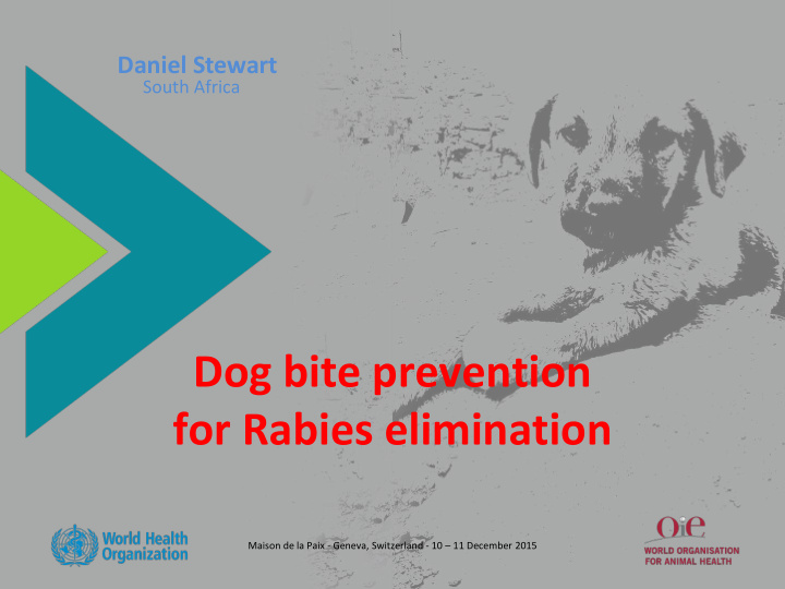 dog bite prevention for rabies elimination