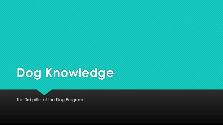 dog knowledge