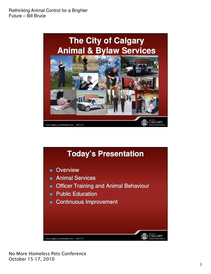 the city of calgary the city of calgary animal amp bylaw
