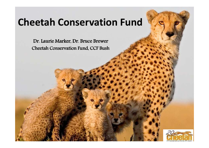 cheetah conservation fund