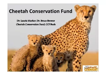 Cheetah Conservation Fund  Dr. Laurie  Dr. Laurie  Dr. Laurie  Dr. Laurie Marker, Dr. Bruce Brewer