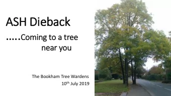 ASH Die  ieback .. Coming to a tree  near you  The Bookham Tree Wardens 10 th July 2019  What is