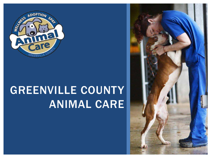 greenville county animal care who is animal care