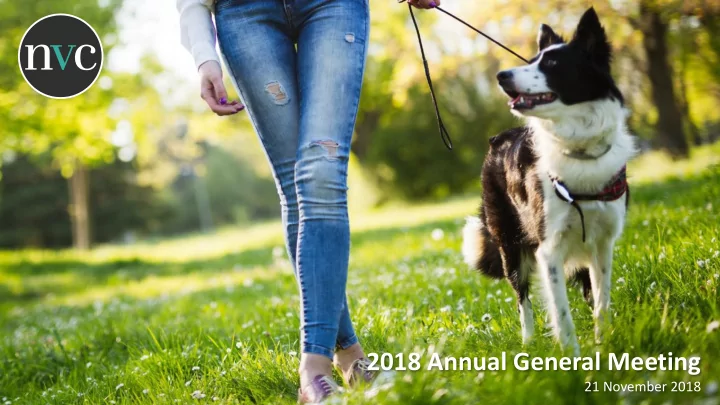 2018 annual general meeting