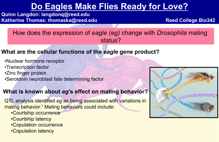 do eagles make flies ready for love