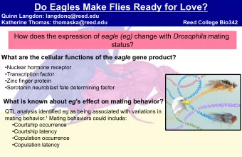 Do Eagles Make Flies Ready for Love?  Quinn Langdon: langdonq@reed.edu  Katherine Thomas: