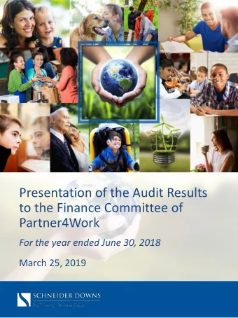 Presentation of the Audit Results  to the Finance Committee of  Partner4Work  For the year ended