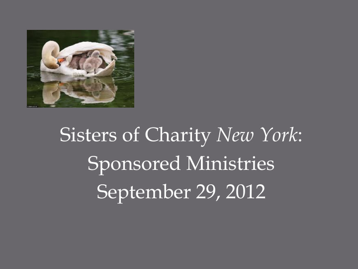 sisters of charity new york sponsored ministries