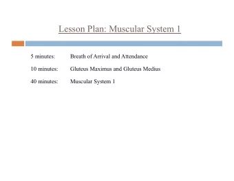 Lesson Plan: Muscular System 1  5 minutes:  Breath of Arrival and Attendance  10 minutes:  Gluteus