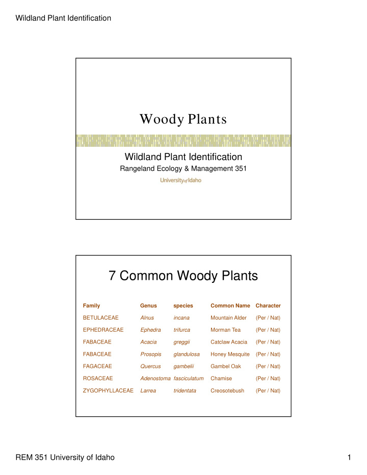 woody plants