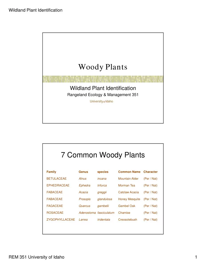 woody plants