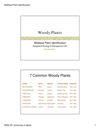 Woody Plants  Wildland Plant Identification  Rangeland Ecology &amp; Management 351  7 Common Woody