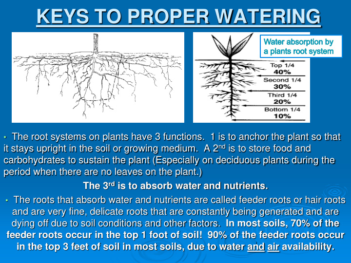 keys to proper watering