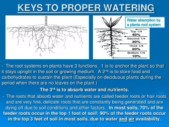 KEYS TO PROPER WATERING  The root systems on plants have 3 functions.  1 is to anchor the plant