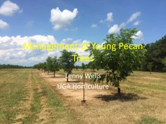 Trees  Lenny Wells  UGA Horticulture  Keys to Young Tree Growth  In order to get optimal tree