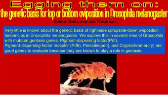 Delenn Solis and Jac Trautman  Very little is known about the genetic basis of right-side