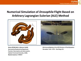 Numerical Simulation of Drosophila Flight Based on  Arbitrary Lagrangian Eulerian (ALE) Method