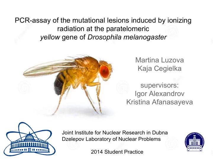 pcr assay of the mutational lesions induced by ionizing