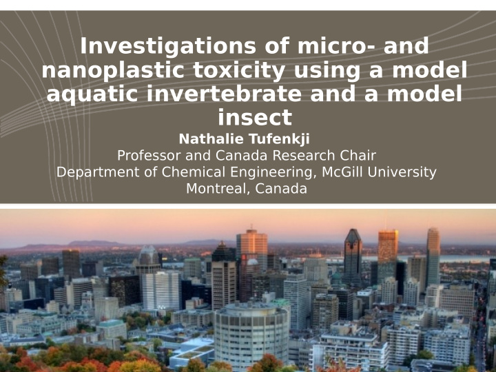 investigations of micro and nanoplastic toxicity using a