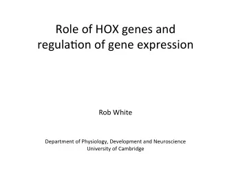 Role of HOX genes and  regula1on of gene expression  Rob White  Department of Physiology,