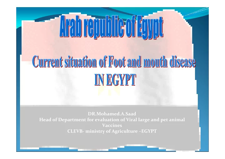 dr mohamed a saad head of department for evaluation of