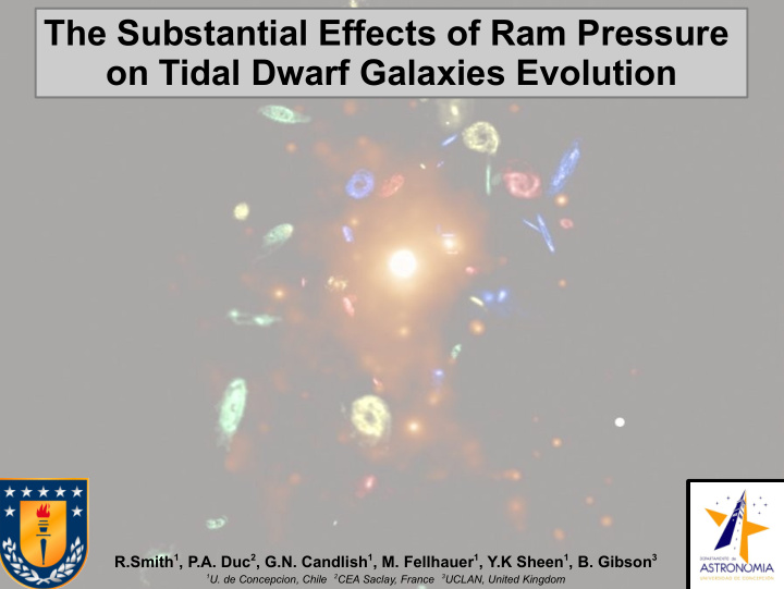 the substantial effects of ram pressure on tidal dwarf