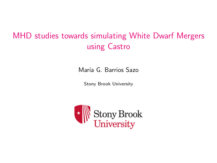 mhd studies towards simulating white dwarf mergers using