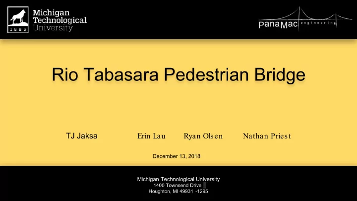 rio tabasara pedestrian bridge