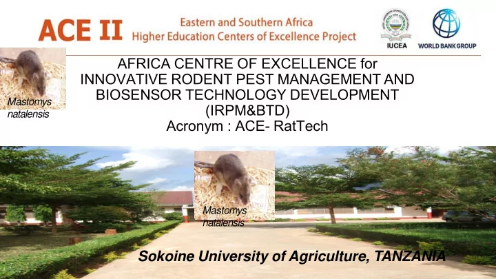 innovative rodent pest management and