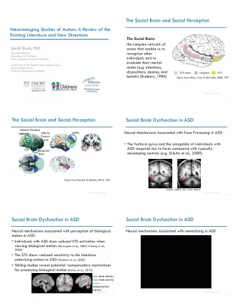 The Social Brain and Social Perception  Neuroimaging Studies of Autism: A Review of the  Existing