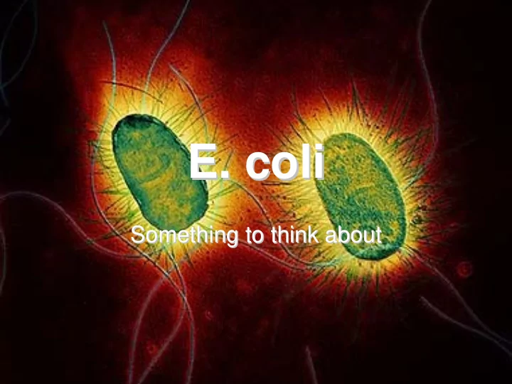 e coli e coli