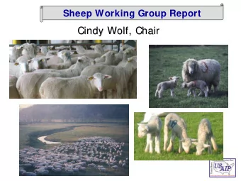 Cindy Wolf, Chair  Cindy Wolf, Chair  Background ! At the 2003 USAHA Conference it was  recommended