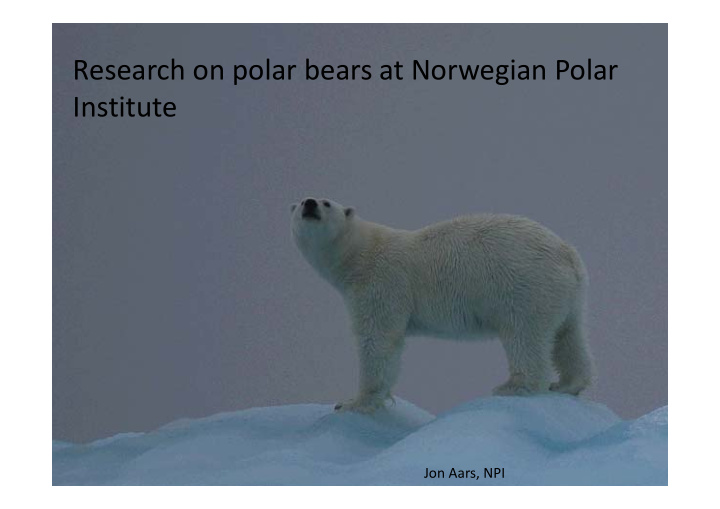 research on polar bears at norwegian polar