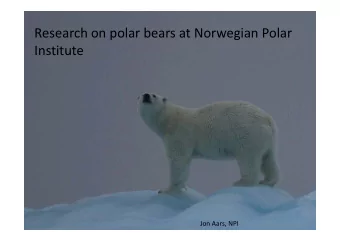 Research on polar bears at Norwegian Polar Tracking the Polar Bear  Institute Dr. Jon Aars,